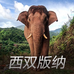 瑞鹄模具：拟发行可转债募资不超过8.8亿元